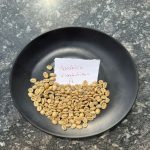 Arabica Plantation A