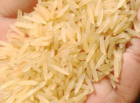 Premium Rice Exports