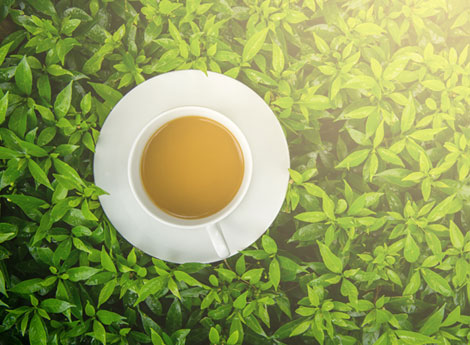 The Art of Growing Premium Rice